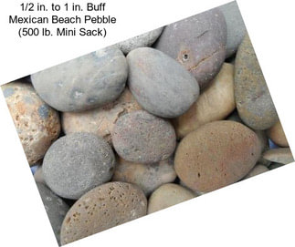 1/2 in. to 1 in. Buff Mexican Beach Pebble (500 lb. Mini Sack)