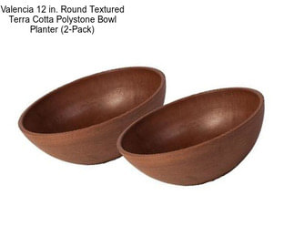 Valencia 12 in. Round Textured Terra Cotta Polystone Bowl Planter (2-Pack)