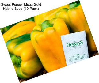 Sweet Pepper Mega Gold Hybrid Seed (10-Pack)