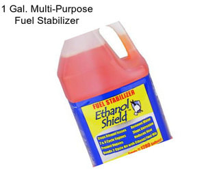 1 Gal. Multi-Purpose Fuel Stabilizer