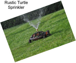 Rustic Turtle Sprinkler