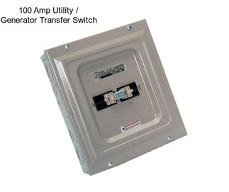 100 Amp Utility / Generator Transfer Switch
