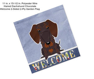 11 in. x 15-1/2 in. Polyester Wire Haired Dachshund Chocolate Welcome 2-Sided 2-Ply Garden Flag