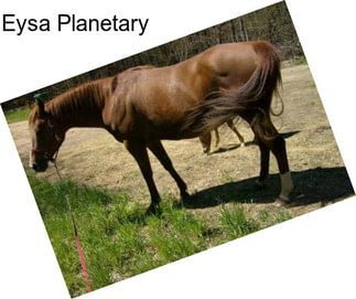 Eysa Planetary