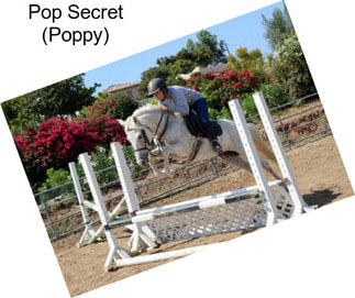 Pop Secret (Poppy)