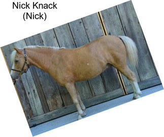 Nick Knack (Nick)