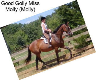 Good Golly Miss Molly (Molly)