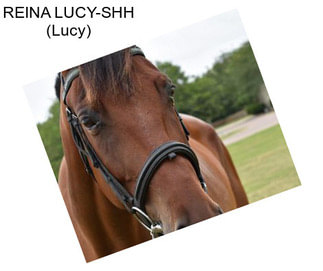 REINA LUCY-SHH (Lucy)