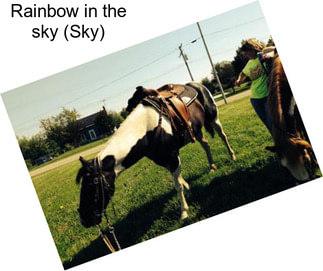 Rainbow in the sky (Sky)
