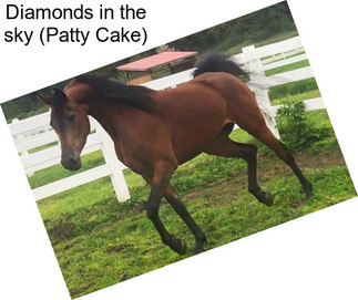 Diamonds in the sky (Patty Cake)