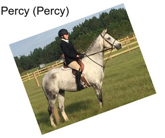 Percy (Percy)