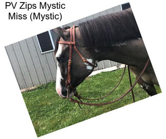 PV Zips Mystic Miss (Mystic)