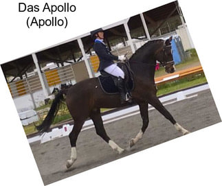 Das Apollo (Apollo)