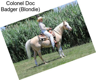 Colonel Doc Badger (Blondie)