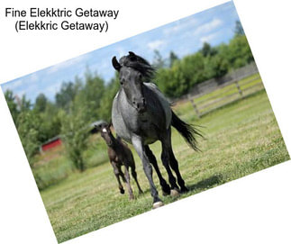 Fine Elekktric Getaway (Elekkric Getaway)