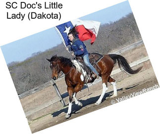 SC Doc\'s Little Lady (Dakota)