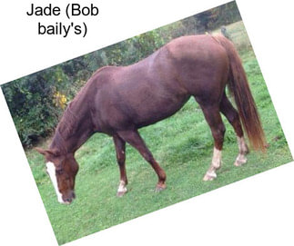 Jade (Bob baily\'s)