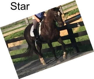 Star