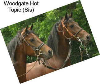 Woodgate Hot Topic (Sis)