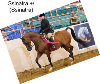 Ssinatra +/ (Ssinatra)