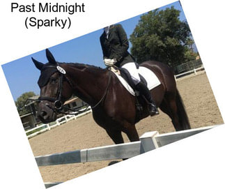 Past Midnight (Sparky)