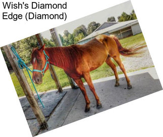 Wish\'s Diamond Edge (Diamond)