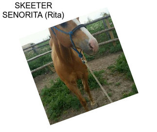 SKEETER SENORITA (Rita)