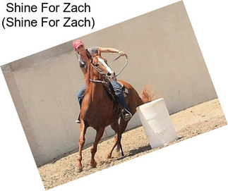 Shine For Zach (Shine For Zach)