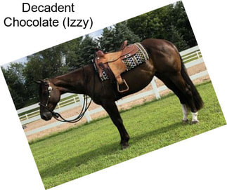 Decadent Chocolate (Izzy)