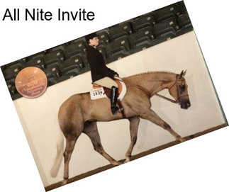 All Nite Invite