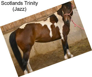 Scotlands Trinity (Jazz)