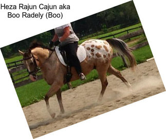 Heza Rajun Cajun aka Boo Radely (Boo)