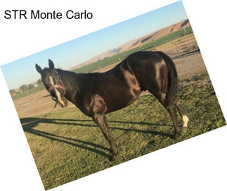 STR Monte Carlo