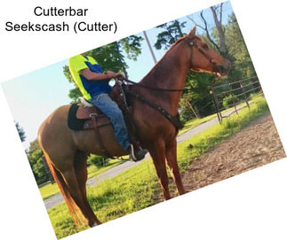 Cutterbar Seekscash (Cutter)