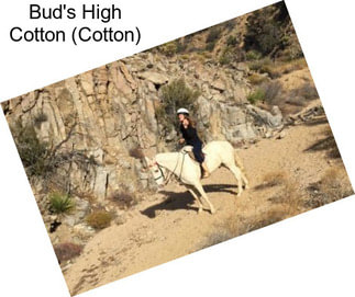 Bud\'s High Cotton (Cotton)