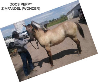 DOCS PEPPY ZIMFANDEL (WONDER)