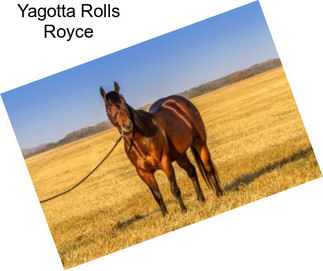 Yagotta Rolls Royce