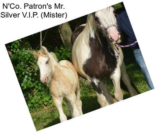 N\'Co. Patron\'s Mr. Silver V.I.P. (Mister)