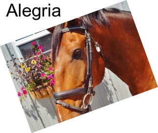 Alegria