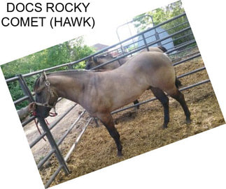 DOCS ROCKY COMET (HAWK)