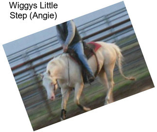 Wiggys Little Step (Angie)