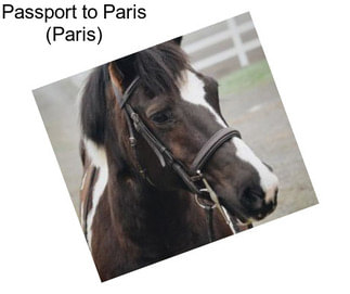 Passport to Paris (Paris)