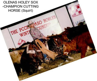 OLENAS HOLEY SOX -CHAMPION CUTTING HORSE (Squirt)