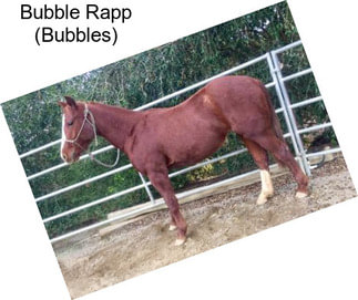 Bubble Rapp (Bubbles)