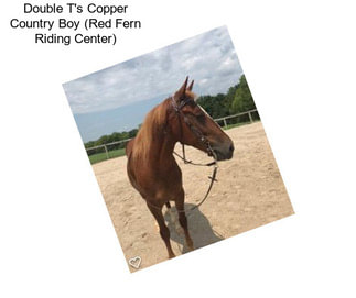 Double T\'s Copper Country Boy (Red Fern Riding Center)