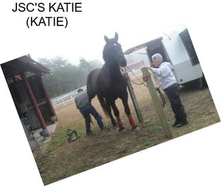 JSC\'S KATIE (KATIE)