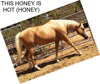 THIS HONEY IS HOT (HONEY)