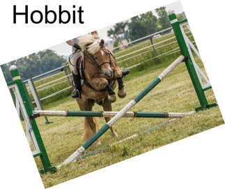 Hobbit