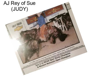 AJ Rey of Sue (JUDY)