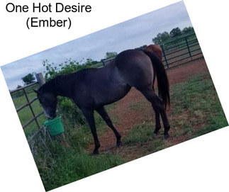 One Hot Desire (Ember)